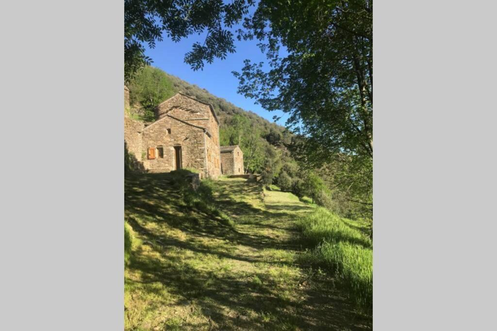 Villa La Pellegrine, Parc national des Cévennes à Le Salson Extérieur photo